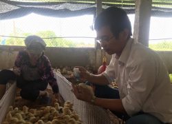 Hỗ trợ khách hàng nhỏ vaccine 28/09/2019