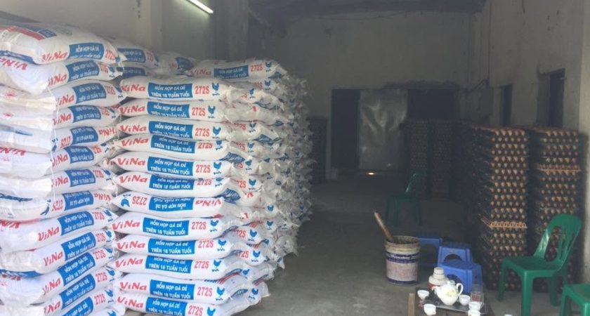 Trại quy mô 2 vạn gà đẻ sử dụng ViNa 272S