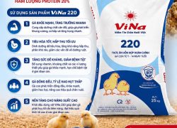 ViNa 220 – khởi đầu vững chắc cho đàn gà khỏe mạnh