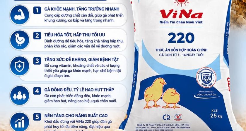 ViNa 220 – khởi đầu vững chắc cho đàn gà khỏe mạnh